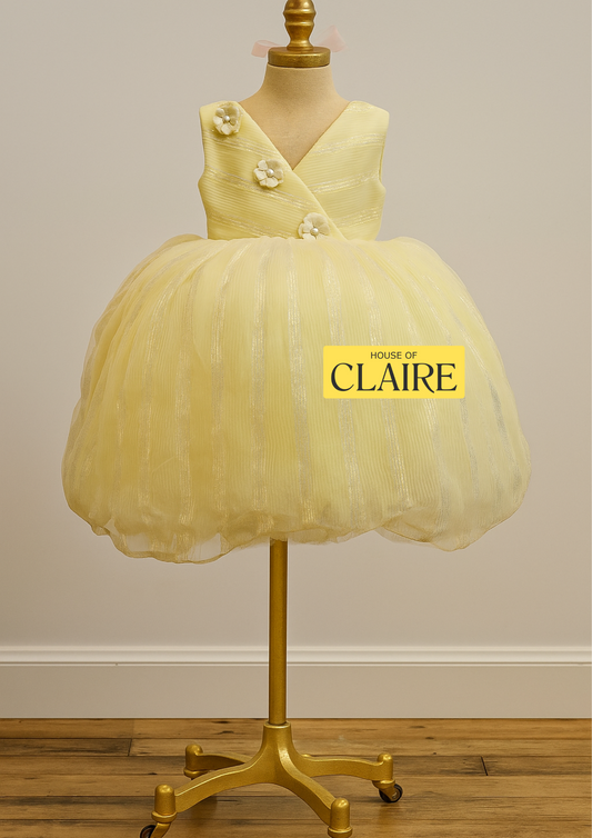 Elegant Lime Yellow Birthday Dress for Girls (Age 3-4 Years) Fluffy Princess Party Wear – House of Claire