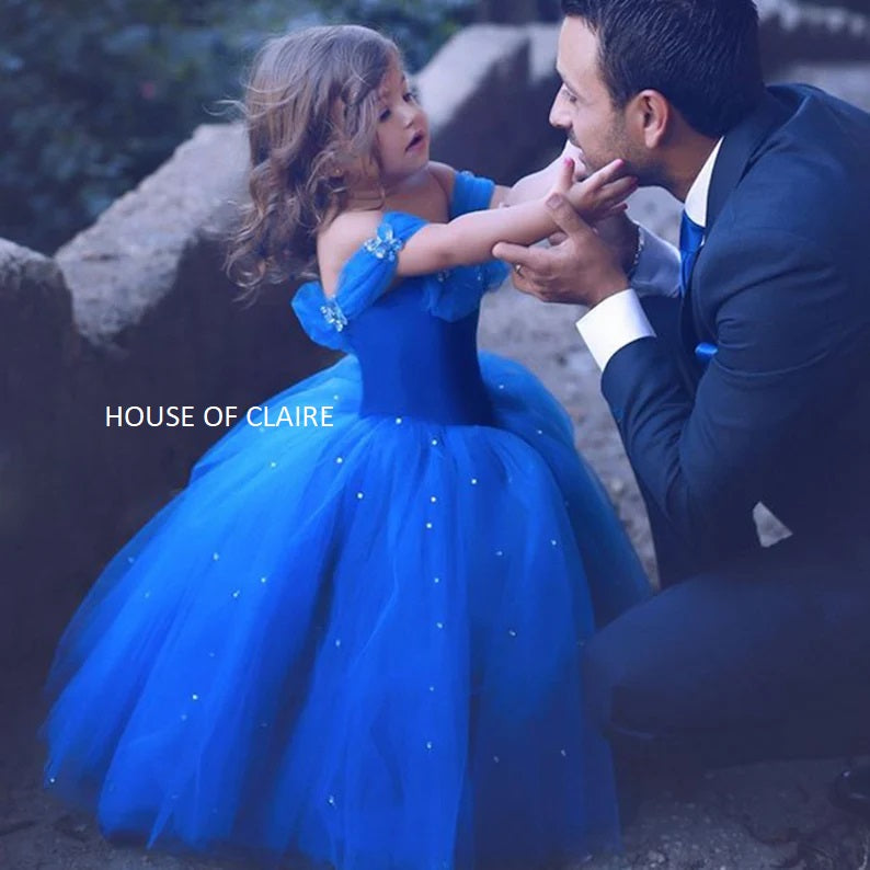 Cinderella Royal Blue Princess Ball Gown Dress for Baby Girls
