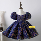 Luxury navy blue sequin princess dress for baby girl birthday and party wear by house of claire kids party wear best seller party wear kids dress in bangalore win sparkle blue navy blue dress in velvet 