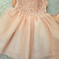 New Arrivals - Classy Pastel Peach Baby Girl Birthday Dress – 1st Year Party Dress | Princess Tulle Frock with Embroidered Floral Bodice