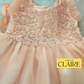 New Arrivals - Classy Pastel Peach Baby Girl Birthday Dress – 1st Year Party Dress | Princess Tulle Frock with Embroidered Floral Bodice