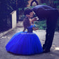 Cinderella Royal Blue Princess Ball Gown Dress for Baby Girls